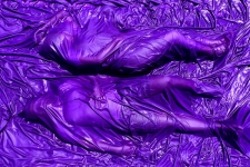 <b>Purple Haze</b><br/>fuji professional photo paper mounted on aluminium dibond<br/><br/>120 x 180 cm<br/>2013<br/>Ed of 3 + 2 AP